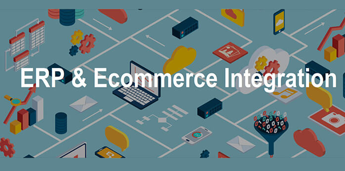 ERP Ecommerce